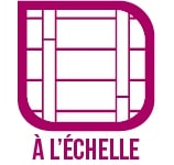 pose-parquet-echelle