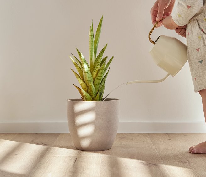 Sol vinyle rigide Chêne blanchi - SPC 2106 5 Sol vinyle rigide Chêne blanchi - SPC 2106 – Image 4